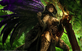 Woman costume wings hood sword - a sword in a forest free wallpaper