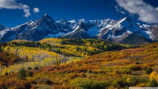 Mountain range forest trees snow - mountain in the background free wallpaper