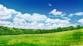 Blue sky clouds green field - a green field free wallpaper for desktop
