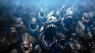 Sharks open mouths water light - alexander johnston free wallpaper