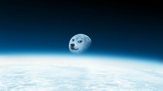 Dog floating sky earth surface - a moon in the background free wallpaper
