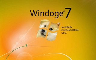Dog yellow background Windows7 logo - free dogs wallpaper for desktop