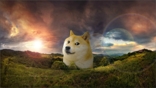 Dog field rainbow cloudy sky - a rainbow in the sky free wallpaper for desktop
