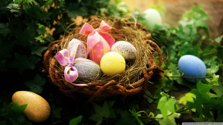 Basket filled eggs green field 3 - a basket free wallpaper for desktop