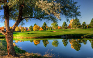 Golf course pond trees background 2 - a pond and trees free wallpaper for desktop