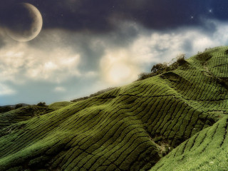 Full moon grassy hill crescent - a full moon free wallpaper for desktop