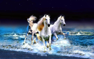 Horses running water beach night - three horse free wallpaper