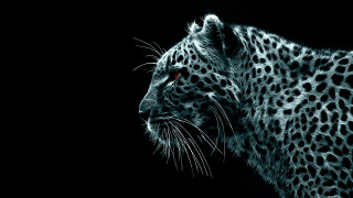 Leopard face black white photo - digital painting free wallpaper for desktop