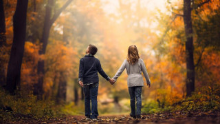 Couple holding hands autumn woods - autumn time free wallpaper