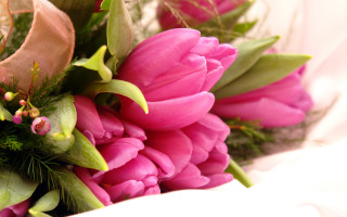 Pink flowers bouquet green leaves 2 - top of it free wallpaper