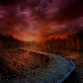 Wooden path field cloudy sunset - cloudy free wallpaper for tablet