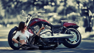 Woman sitting motorcycle street trees 3 - the motorcycle free wallpaper