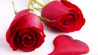 Two red roses heart shaped - two red rose free wallpaper