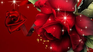 Red rose ribbon bow stars - star free wallpaper for desktop