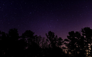 Night sky stars trees purple - star and trees free wallpaper