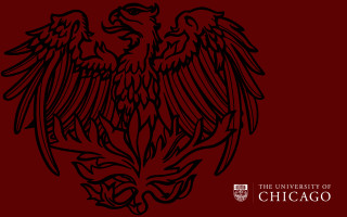 Black red eagle chicago wings - cimabue free wallpaper