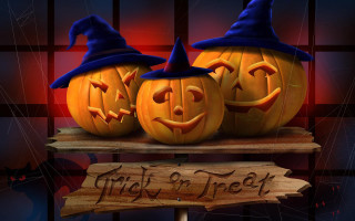 Carved pumpkins witches hats shelf - a sign free wallpaper