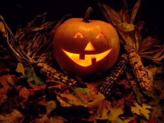 Pumpkin carved face leaves corn - a pumpkin free wallpaper