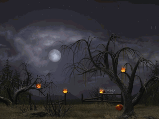 Night scene full moon pumpkins - grim free wallpaper