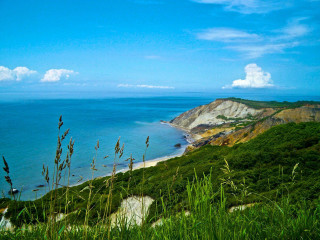 Beach water hilltop grass view - a hill top free wallpaper