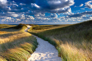 Grassy field path sky clouds - the horizon free wallpaper for desktop