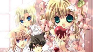 Anime girls big eyes cat - posing free wallpaper