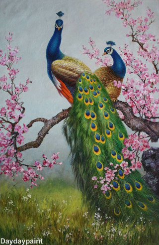 Peacocks tree branch pink flowers - pink flower free wallpaper for mobile