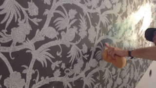 Man painting wall sprayer sponge - carol bove free wallpaper