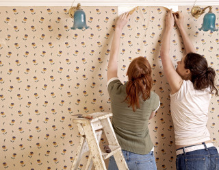 Women painting wallpaper ladder wall - one woman free wallpaper for desktop