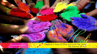 Colored powder hands group kalala - vivid color free wallpaper