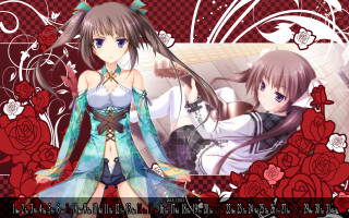 Anime girls long hair cat 6 - long hair and a cat ears free wallpaper