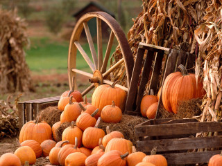 Pumpkins wagon hay pile fall - fall vibrancy free wallpaper for desktop