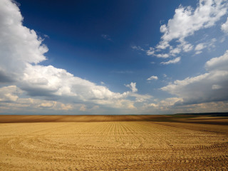 Large field cloudy sky dirt - andreas gursky free wallpaper for desktop