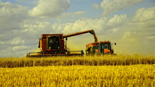 Combine harvesters wheat field blue - heavy free wallpaper