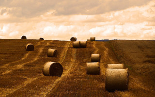 Hay bales field cloudy sky - heavy grain free wallpaper