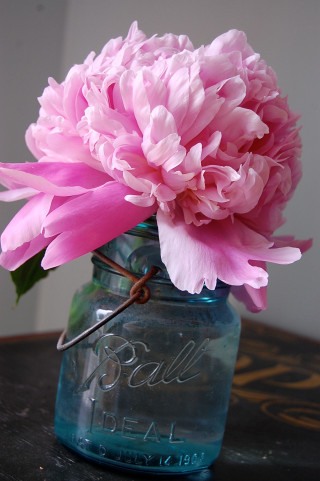 Pink flower mason jar table - folk art free wallpaper for mobile