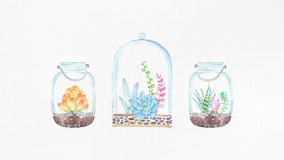 Three glass jars plants white - a watercolor painting free wallpaper