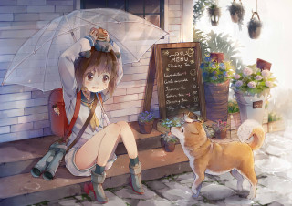 Girl sitting ledged umbrella dog - chen lin free wallpaper for desktop