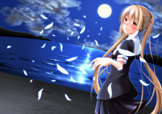 Anime girl beach night fullmoon - a full moon in the background free wallpaper for desktop