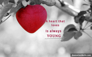 Heart loves young tree branch - david young cameron free wallpaper for desktop