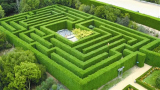 Green maze park trees man - institutional free wallpaper