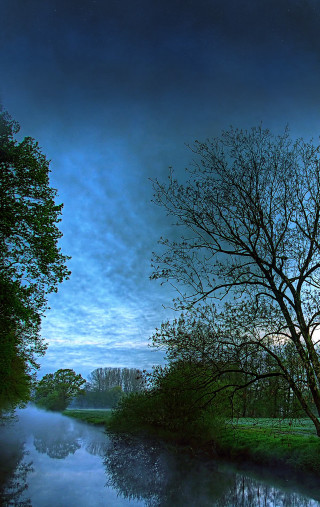 Tree river night blue sky - wide angle len free wallpaper for mobile