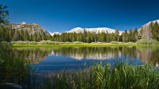 Lake mountains tallgrass forest sky - ansel adams free wallpaper for desktop