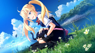 Girl sitting grass hill cat 2 - a cat free wallpaper for desktop