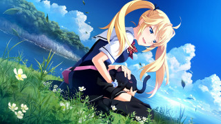 Girl sitting grass hill cat - her lap free wallpaper for desktop