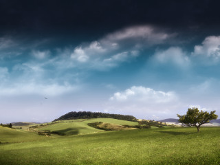 Green field tree hill clouds - free landscape wallpaper