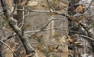 Camouflage trees leaves building clock - a hyperrealistic painting free wallpaper for desktop