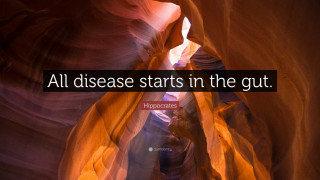 Disease gut canyon lightrock inspirational - doc hammer free wallpaper