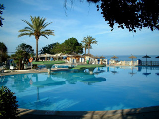 Large swimming pool beach palm - a large swimming pool free wallpaper