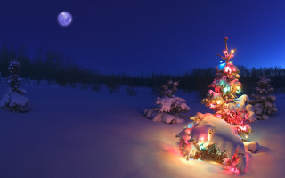 Christmas tree snow night full 2 - a full moon in the sky free wallpaper